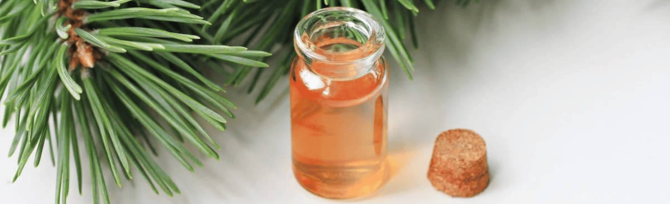 Nốt Hương Nhựa Thơm