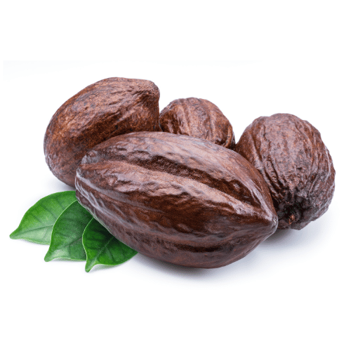 Quả Cacao