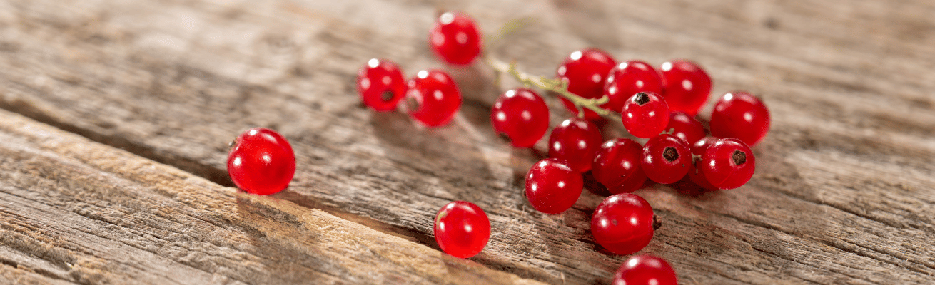 Quả Lý Chua Đỏ