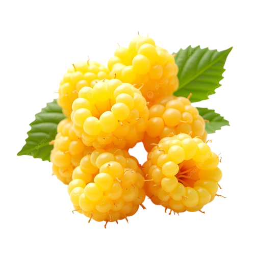 Quả Mâm Xôi Vàng Quả Mâm Xôi Vàng