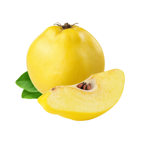 Quả Mộc Qua