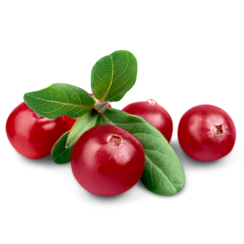 note-huong-qua-nam-viet-quat