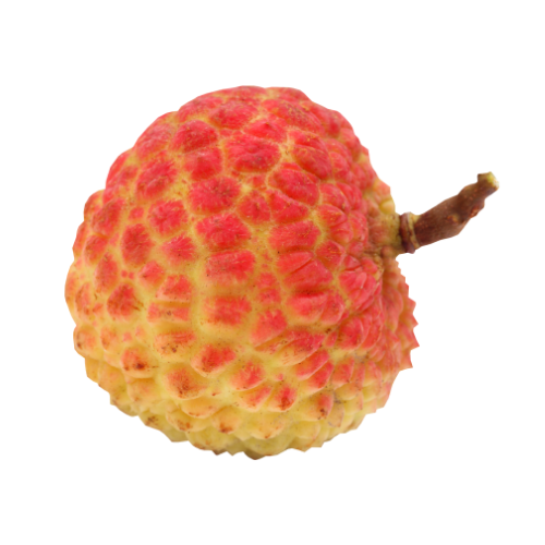 Quả Vải