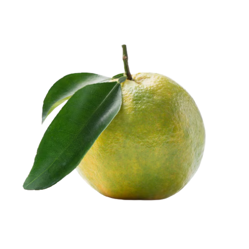 Quýt Xanh