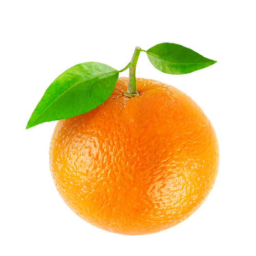 Quýt