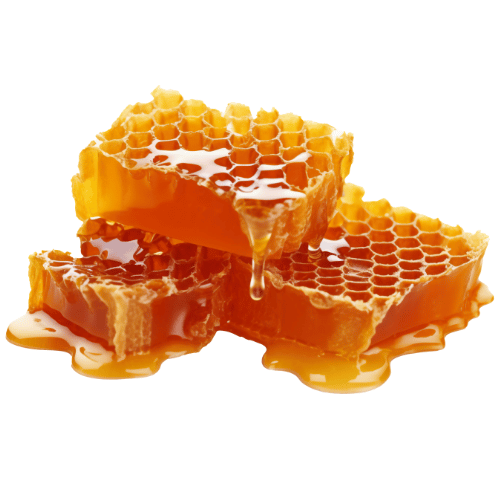 note-huong-sap-ong-honeycomb