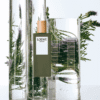 Loewe Esencia Pour Homme EDT gia tot