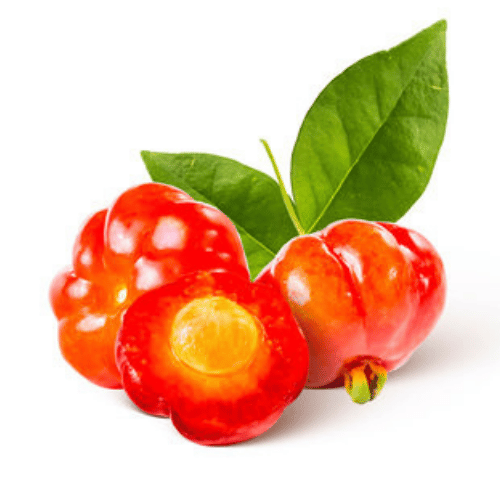 note-huong-anh-dao-brazil