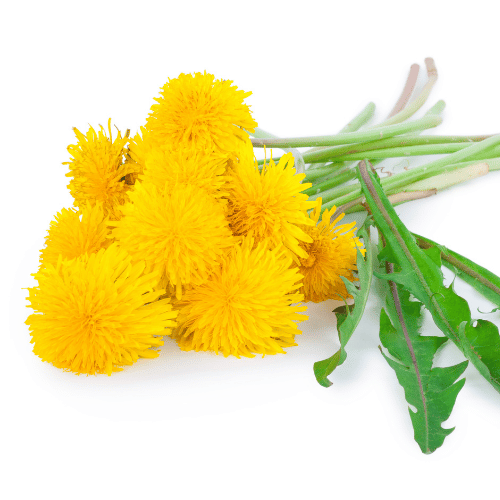 note-huong-bo-cong-anh