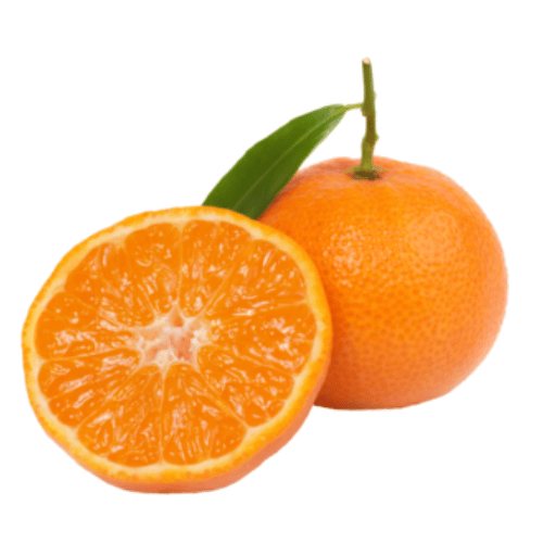 Cam Mandora