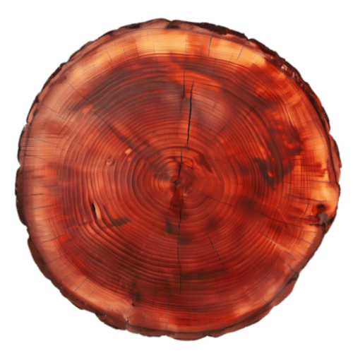 note-huong-cay-go-do-apaniche