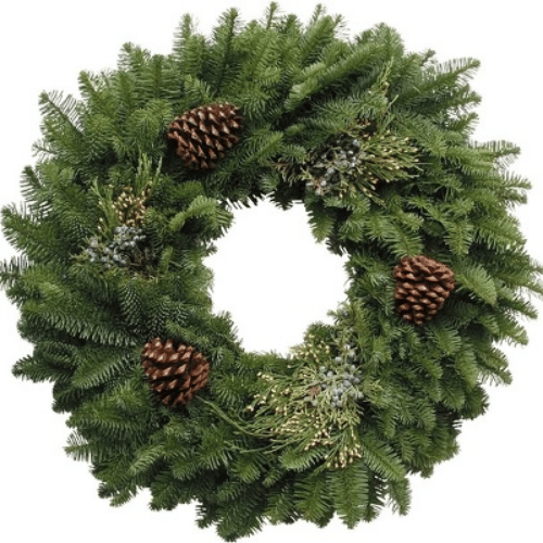 note-huong-cay-la-kim-tuoi