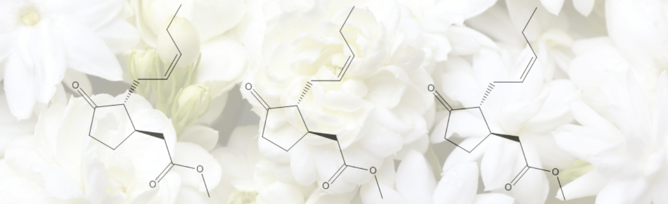 Chất Hoá Học Paradisone