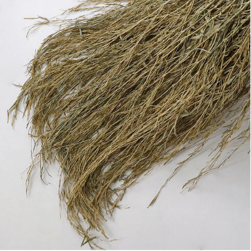 note-huong-co-thom-flouve