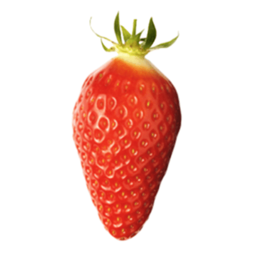 note-huong-dau-gariguette