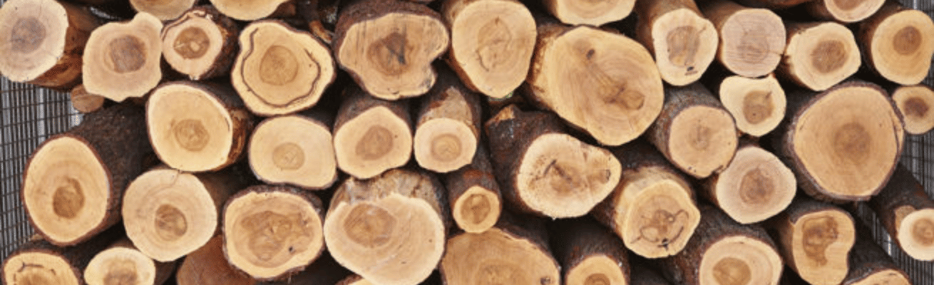 Gỗ Đàn Hương Ấn Độ