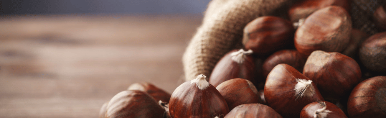 Hạt Dẻ Tẩm Đường