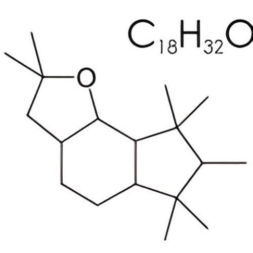 Hổ Phách Xtreme Hổ Phách Xtreme