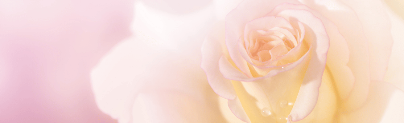 Note Hương Hoa Hồng Tổng Hợp Rosyfolia