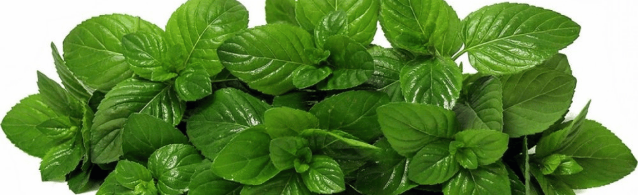 Hợp Chất Physcool®