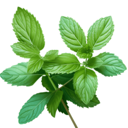 note-huong-hop-chat-physcool