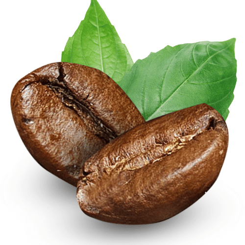 note-huong-khi-co2-ca-phe