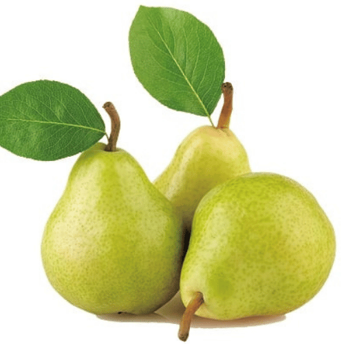 note-huong-le-anjou-xanh