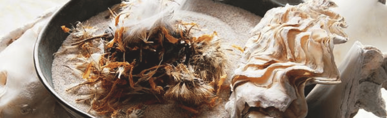 Long Não Tự Nhiên