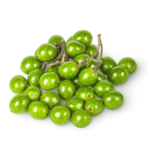 Màng Tang Màng Tang
