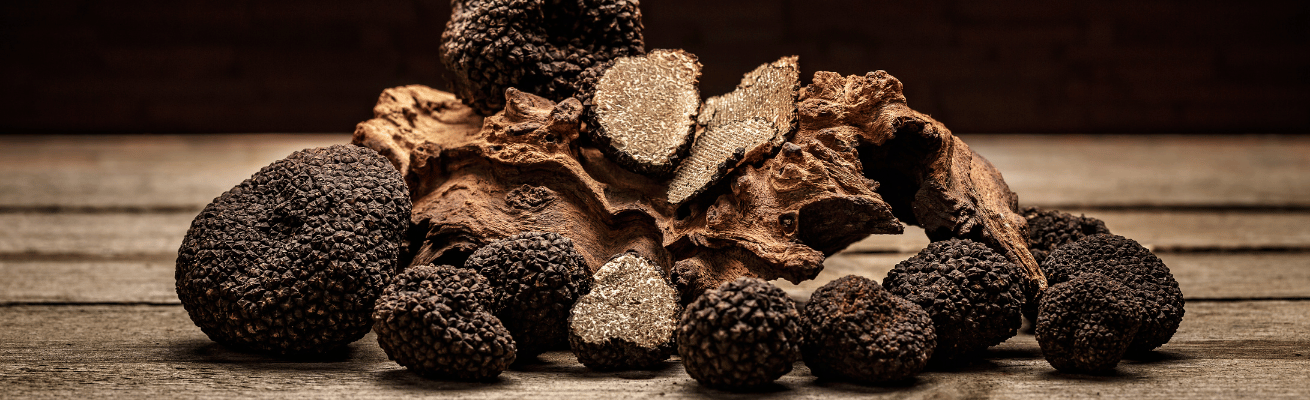 Nấm Truffle