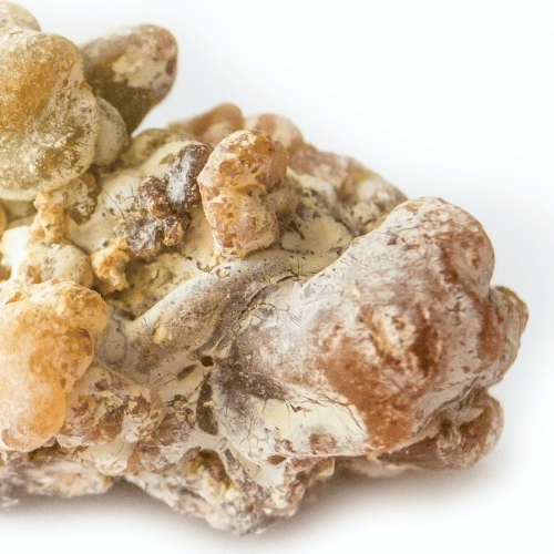 note-huong-nhua-copaiba