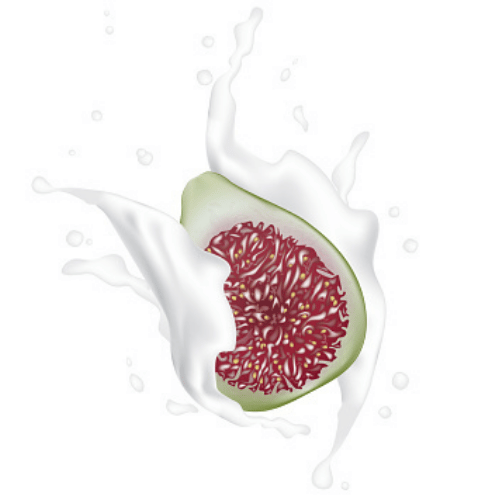 note-huong-nhua-qua-sung