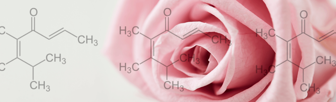 Pomarose