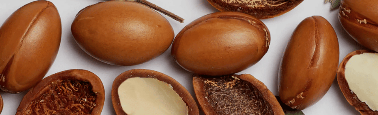 Quả Argan