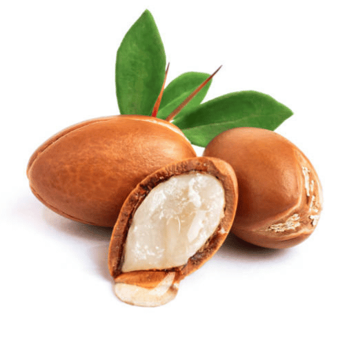 note-huong-qua-argan