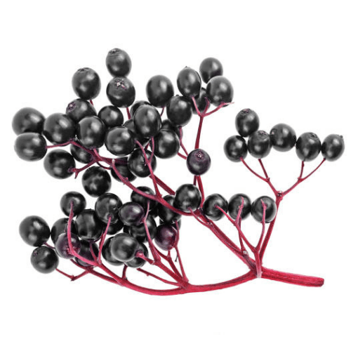 note-huong-qua-com-chay