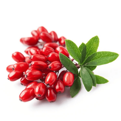 note-huong-qua-hoang-lien-gai