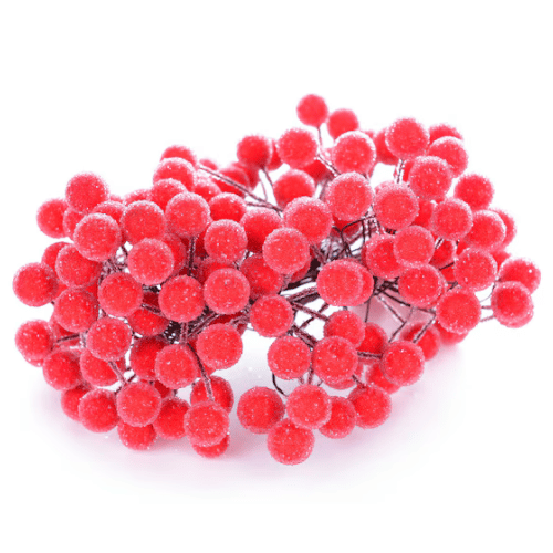 note-huong-qua-mong-phu-tuyet