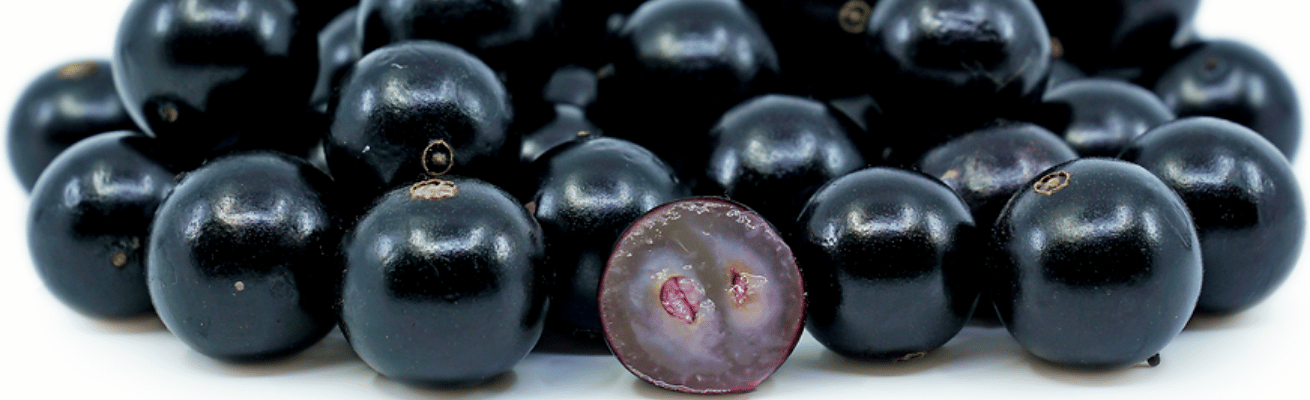 Quả Nho Jabuticaba