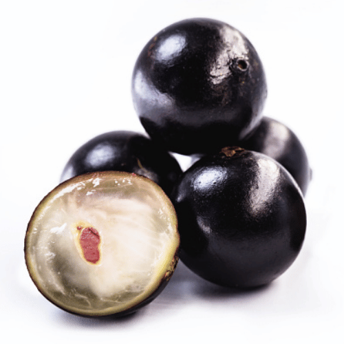 note-huong-qua-nho-jabuticaba