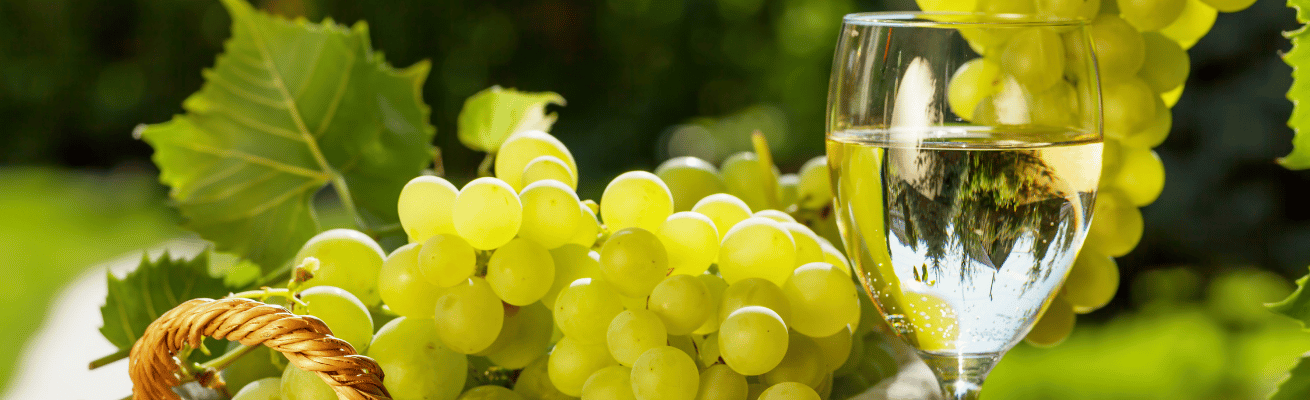 Rượu Vang Trắng