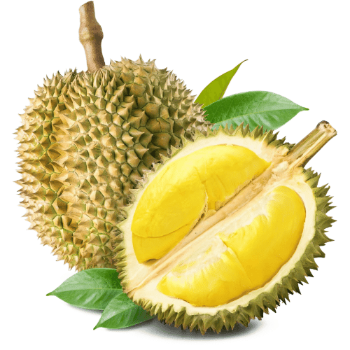 note-huong-sau-rieng