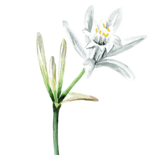 note-huong-thuy-tien-bien