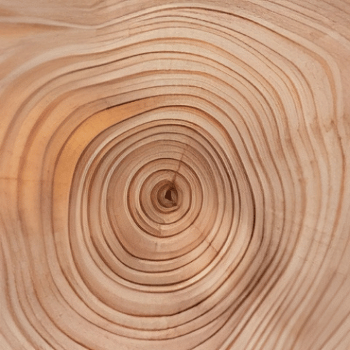 note-huong-tinh-dau-dat-mitti