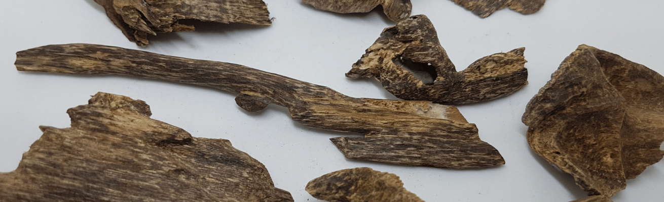 Trầm Hương Campuchia