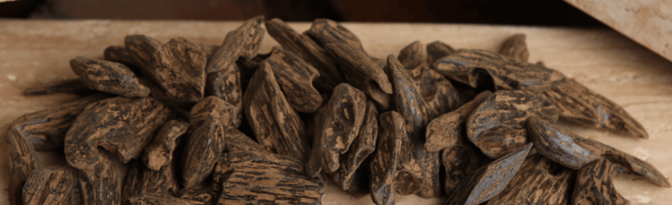 Trầm Hương Malaysia