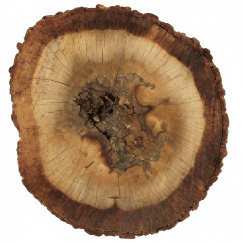 note-huong-tram-huong-malaysia