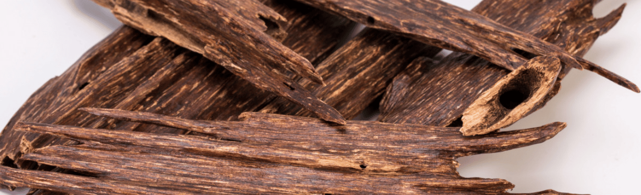 Trầm Hương Thái Lan