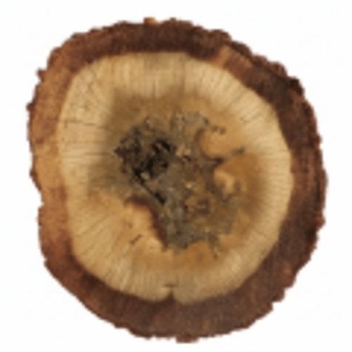 note-huong-tram-huong-trung-quoc