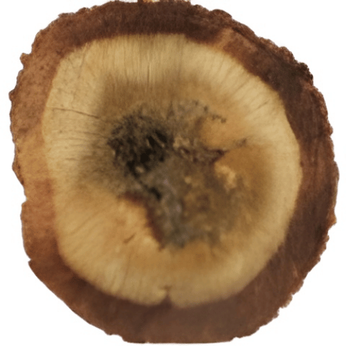 note-huong-tram-huong-viet-nam